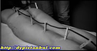 evi olan escort bayan